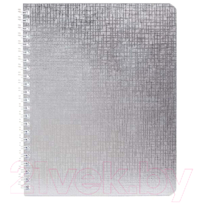 Изображение товара Тетрадь Hatber Metallic / 96Т5бвВ1гр/бвСеребро (96л, серебристый)
