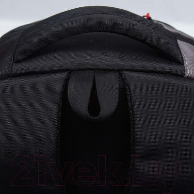 Рюкзак Grizzly RU-330-1  (черный/серый)