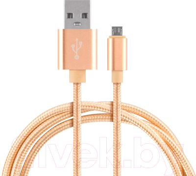 Кабель Energy ET-28 USB/Lightning / 104098 (золото)