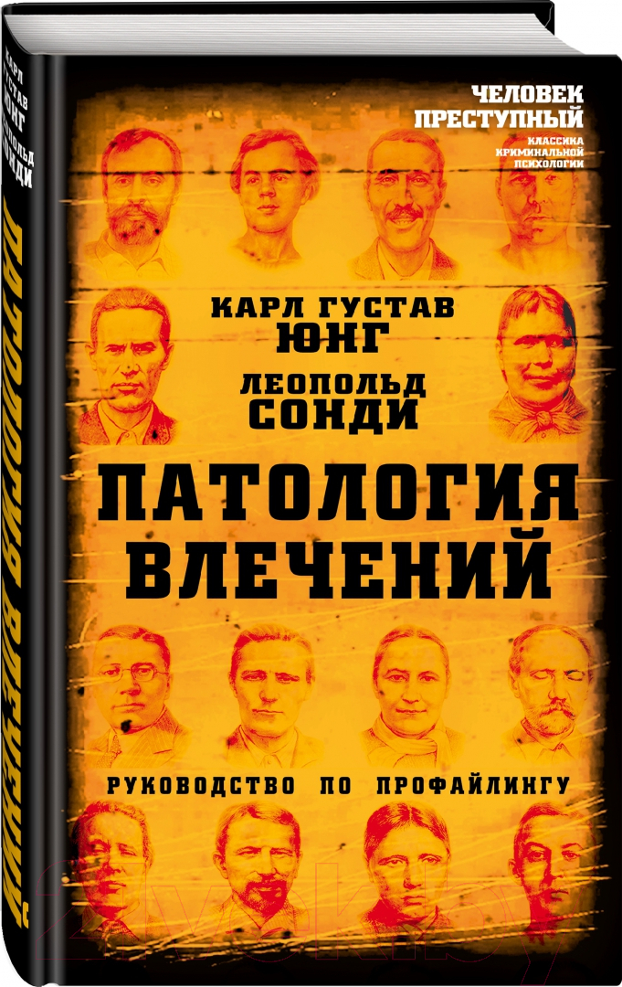 Нехудожественная книга Родина Патология влечений. Руководство по профайлингу (Юнг К., Сонди Л.) — фото 2