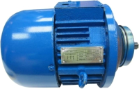 Двигатель для тали электрической TOR CD1 2т ZD1 31-4 / 119221 - 