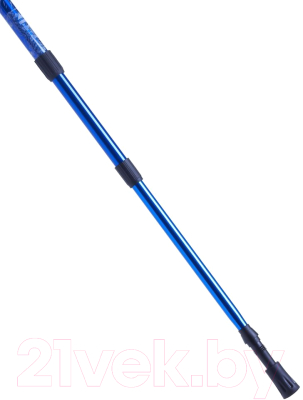 Трекинговые палки Atemi ATP05 (синий)