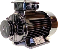 Двигатель для воздушного компрессора Eland EN-30/3 - 