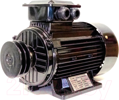 Двигатель для воздушного компрессора Eland EN-30/3