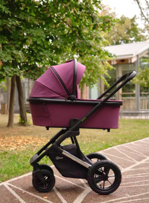 Детская универсальная коляска Rant Axiom 2 в 1 / RA093 (фиолетовый)