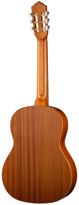 Акустическая гитара Ortega R121G (с чехлом)