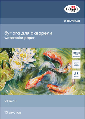 Набор бумаги для рисования ГАММА Студия / 30C03F710W (10л) - 