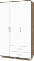 

Шкаф Modern, Ева Е33