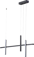 

Потолочный светильник Odeon Light, Vetta 6606/32L