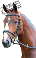 Оголовье для лошади Shires Melton PONY / V442/HAVANA/PONY (коричневый) - 
