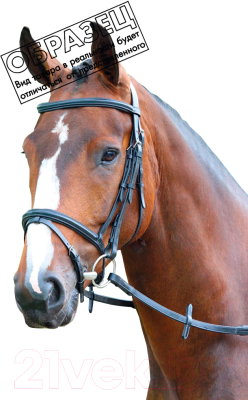 Оголовье для лошади Shires Melton FULL / V442/HAVANA/FULL (коричневый)