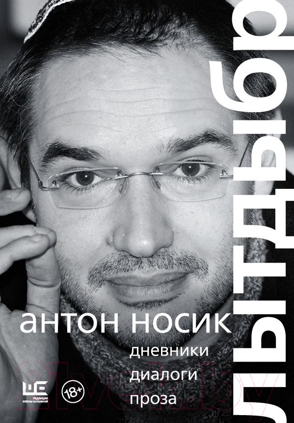 Нехудожественная книга АСТ Лытдыбр. Дневники, диалоги, проза (Носик А.Б.)