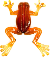 

Мягкая приманка, Лягушка Frog 30F COL.03