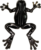 

Мягкая приманка, Лягушка Frog 30F COL.06