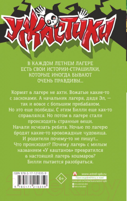 Изображение товара Книга АСТ Лето кошмаров (Стайн Р.Л.)