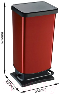 Контейнер для мусора Rotho Paso с педалью / 1754111008 (40л, черный/красный)