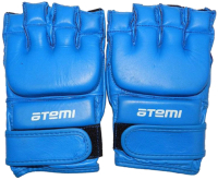 Перчатки для единоборств Atemi 05-001 (M, синий) - 