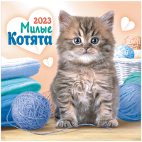 

Календарь настенный ЛиС, Котята. Пушистик с клубочком 2023г / БПК-23-019