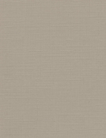 Рулонная штора Delfa Сантайм Лен СРШ-01 МД2404 (48x170, серый) - 