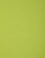 Рулонная штора Delfa Сантайм Лен СРШ-01 МД2653 (48x170, светло-зеленый) - 
