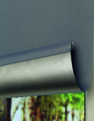 Рулонная штора Lm Decor LM 68-10 52x160 (темно-серый)