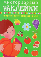 

Набор наклеек Искатель, Многоразовые. Что растет в лесу, в огороде 0+ / 9785990979154