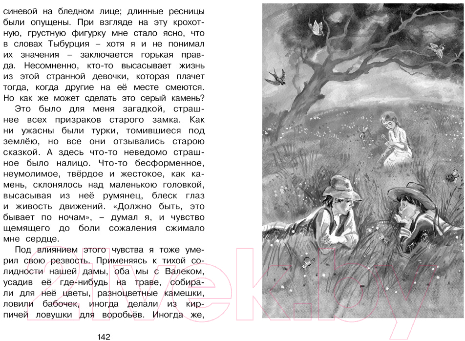 Художественная книга Махаон Гуттаперчевый мальчик (Григорович Д., Короленко В.) — фото 4