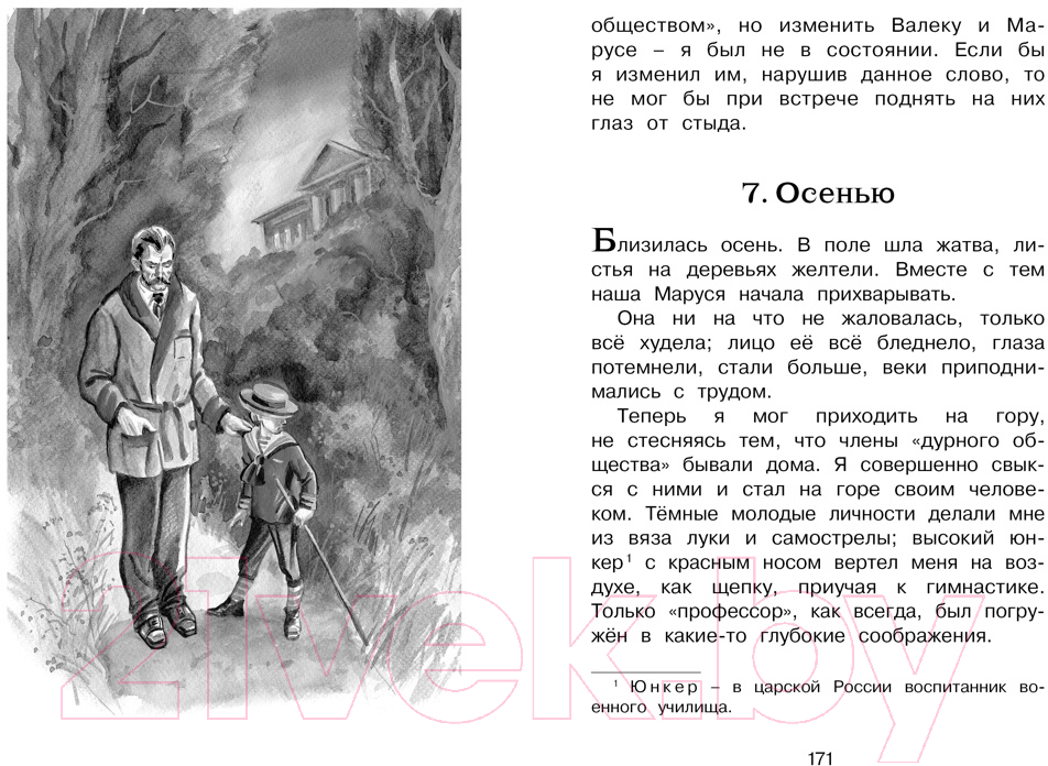 Художественная книга Махаон Гуттаперчевый мальчик (Григорович Д., Короленко В.) — фото 5