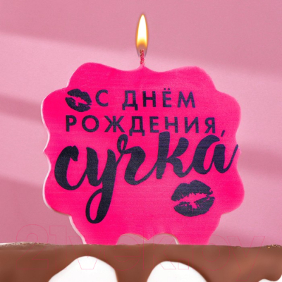 Свеча для торта Страна Карнавалия С Днем Рождения Сучка / 7761405 (розовый)