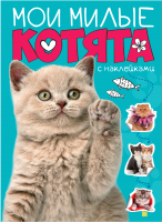 Развивающая книга Проф-Пресс Брошюра Мои милые котята с наклейками - 