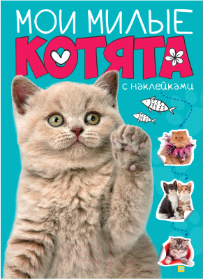 Развивающая книга Проф-Пресс Брошюра Мои милые котята с наклейками