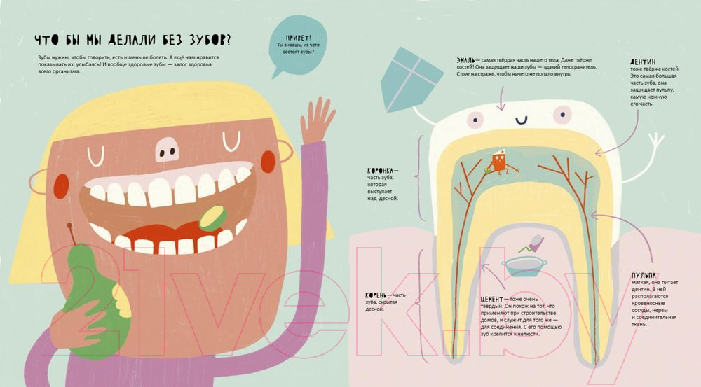 Энциклопедия Издательство Самокат Тайная жизнь зубов