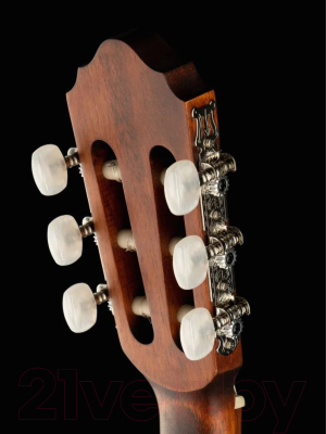 Акустическая гитара Parkwood PC75-WBAG-OP (с чехлом)
