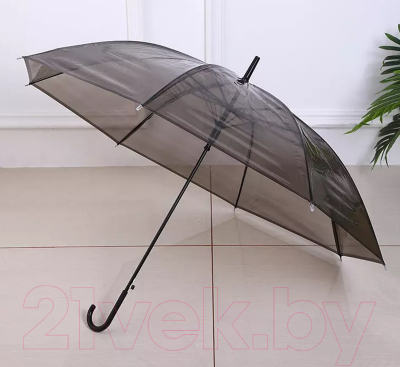 Зонт-трость Sipl BQ13G (прозрачный черный)