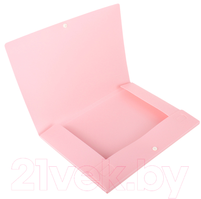 Папка для бумаг Darvish DV-0971IE-PN (розовый)