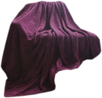 

Плед AlViTek, Soft Plush акриловая микрофибра 180x200 / 180/004-sp