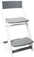 

Стул детский Василек-slim, BH-21PREM09
