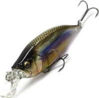 

Воблер Megabass, IxI Shad Type-R Kasumi Ito