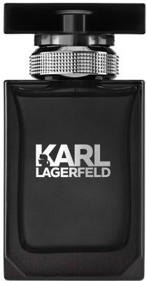 Туалетная вода Karl Lagerfeld For Him (50мл)
