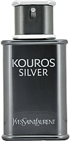 

Туалетная вода Yves Saint Laurent, Kouros Silver