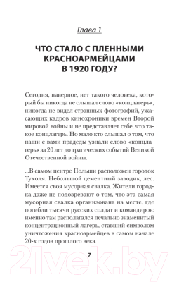 Книга Питер Ложь Посполита. Покет (Гаспарян А.)