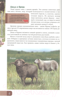 Изображение товара Энциклопедия Проф-Пресс В мире знаний. Домашние животные (Балуева О.)