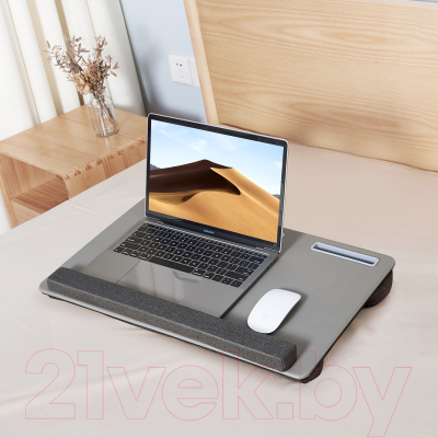 Подставка для ноутбука Evolution LS203