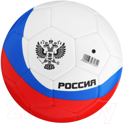 Футбольный мяч Minsa 7393184 (размер 5)
