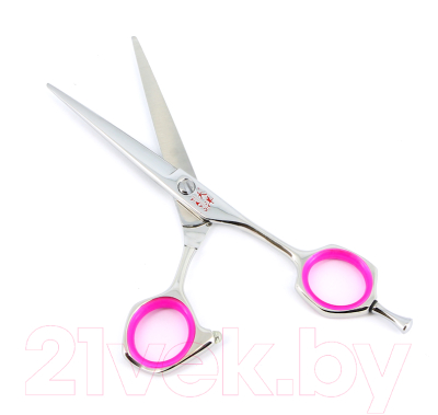 Изображение товара Ножницы парикмахерские TAYO Duet TS-255 прямые 5.5