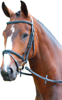 Оголовье для лошади Bridleway Melton / V442/BLACK/COB (черный) - 