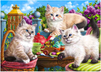 

Набор алмазной вышивки РЫЖИЙ КОТ, Шкодные котята / ACD5008