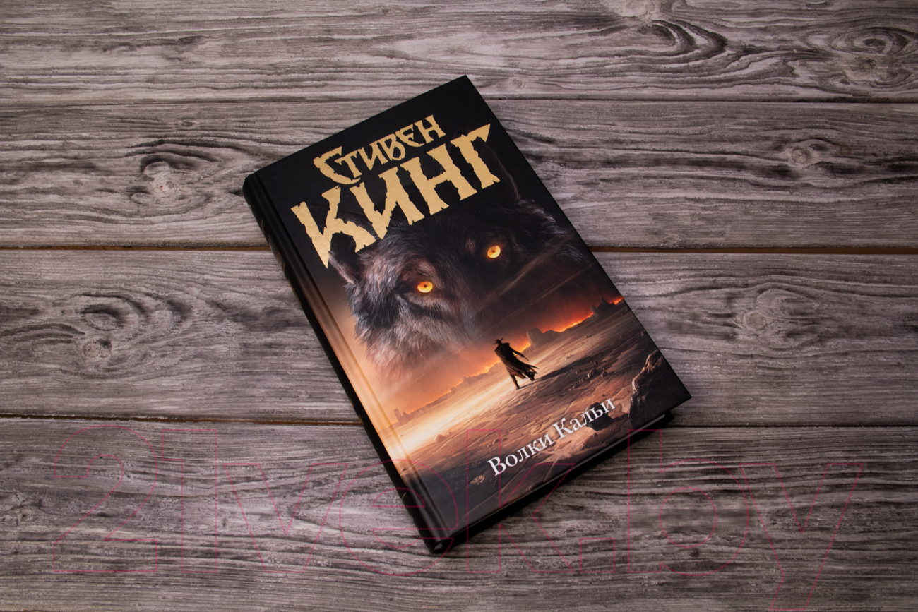 Художественная книга АСТ Волки Кальи. Темная башня (Кинг С.) — фото 2