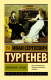 Книга АСТ Дворянское гнездо. Эксклюзив. Русская классика (Тургенев И.С.) - 