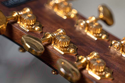 Электроакустическая гитара Cort Gold-A6-Bocote-WCASE-NAT (с чехлом)